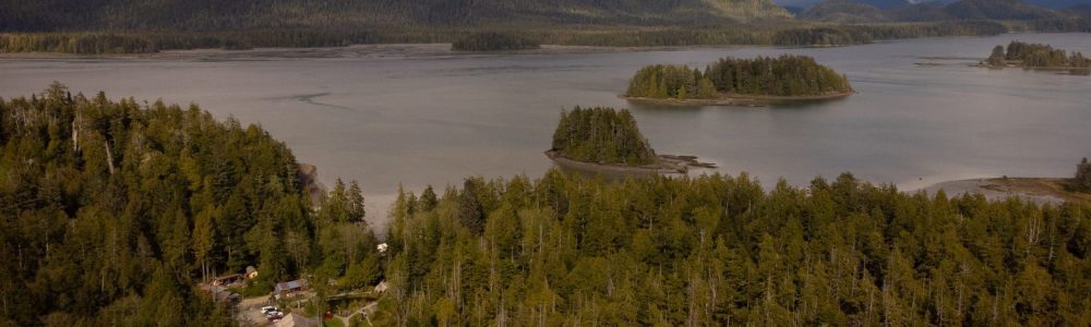 Jeremy Williams-0136